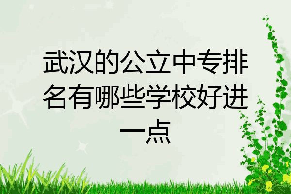 武汉的公立中专排名有哪些学校好进一点