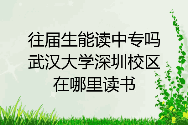 往届生能读中专吗武汉大学深圳校区在哪里读书