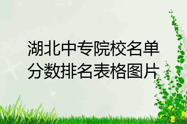 湖北中专院校名单分数排名表格图片