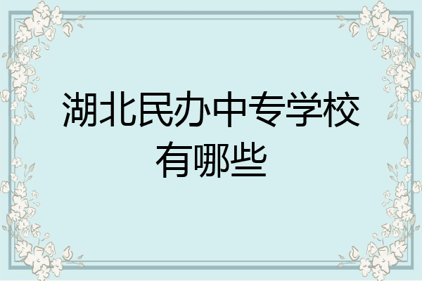 湖北民办中专学校有哪些