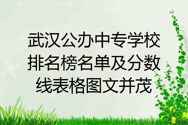 武汉公办中专学校排名榜名单及分数线表格图文并茂