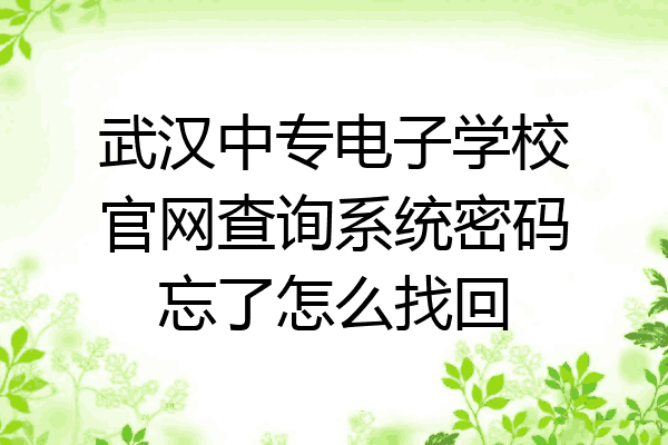 武汉中专电子学校官网查询系统密码忘了怎么找回