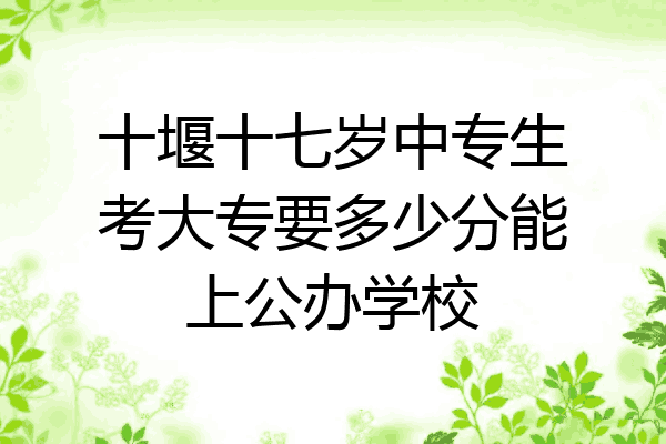 十堰十七岁中专生考大专要多少分能上公办学校