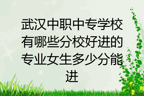 武汉中职中专学校有哪些分校好进的专业女生多少分能进