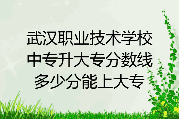 武汉职业技术学校中专升大专分数线多少分能上大专