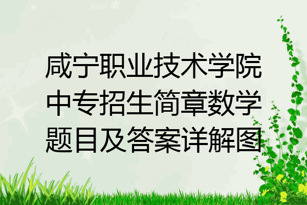 咸宁职业技术学院中专招生简章数学题目及答案详解图