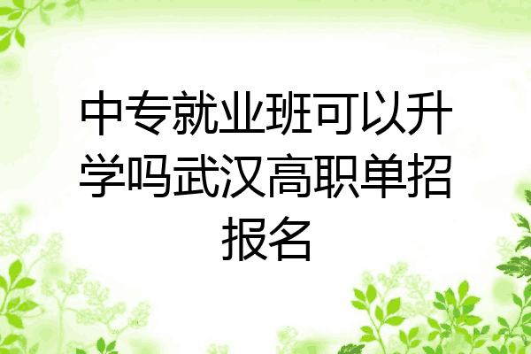 中专就业班可以升学吗武汉高职单招报名