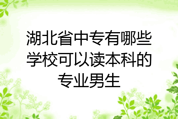 湖北省中专有哪些学校可以读本科的专业男生