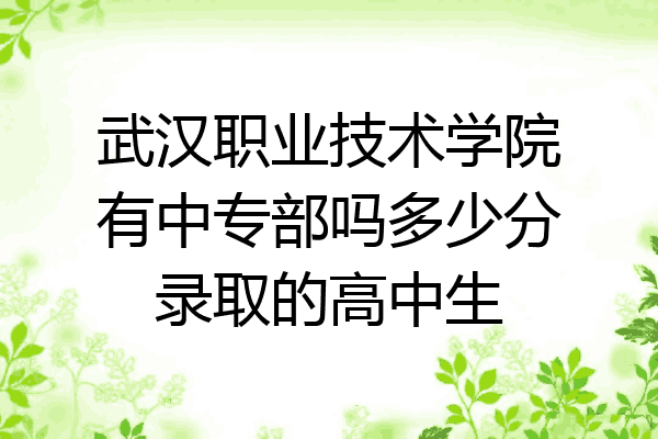武汉职业技术学院有中专部吗多少分录取的高中生