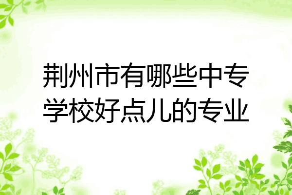 荆州市有哪些中专学校好点儿的专业