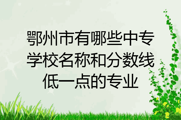 鄂州市有哪些中专学校名称和分数线低一点的专业