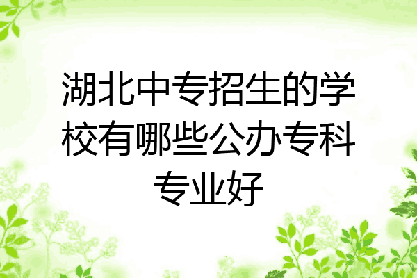湖北中专招生的学校有哪些公办专科专业好