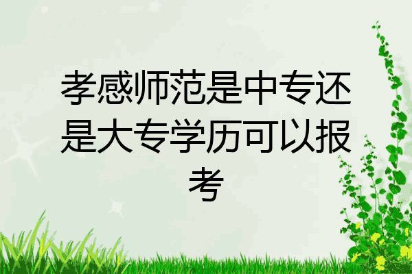 孝感师范是中专还是大专学历可以报考