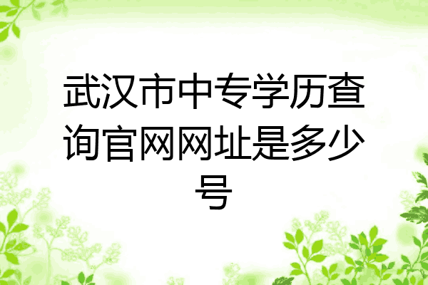 武汉市中专学历查询官网网址是多少号