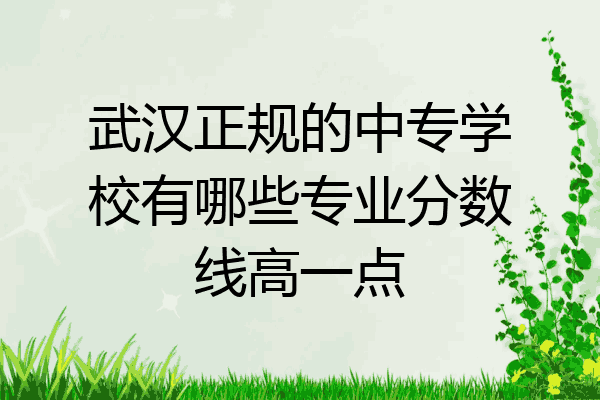武汉正规的中专学校有哪些专业分数线高一点