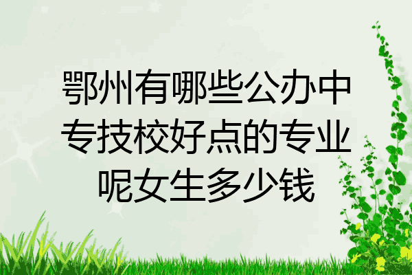 鄂州有哪些公办中专技校好点的专业呢女生多少钱