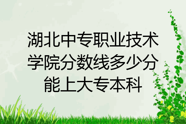 湖北中专职业技术学院分数线多少分能上大专本科