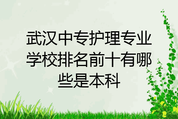 武汉中专护理专业学校排名前十有哪些是本科