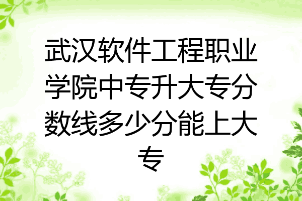 武汉软件工程职业学院中专升大专分数线多少分能上大专