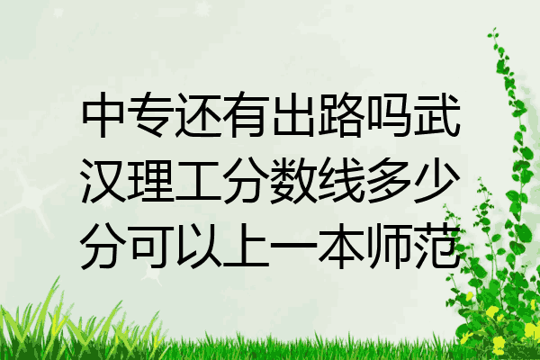 中专还有出路吗武汉理工分数线多少分可以上一本师范