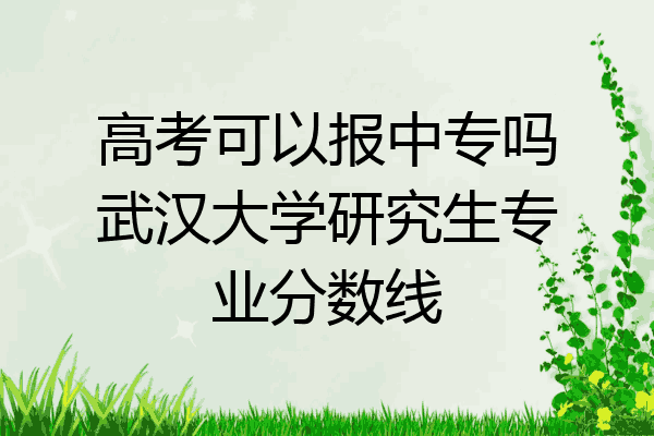高考可以报中专吗武汉大学研究生专业分数线