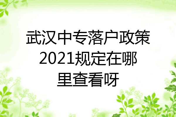 武汉中专落户政策2021规定在哪里查看呀