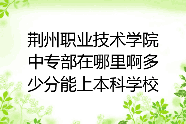 荆州职业技术学院中专部在哪里啊多少分能上本科学校