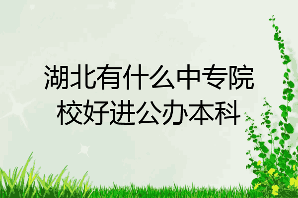 湖北有什么中专院校好进公办本科