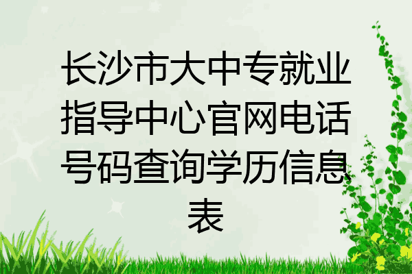 长沙市大中专就业指导中心官网电话号码查询学历信息表