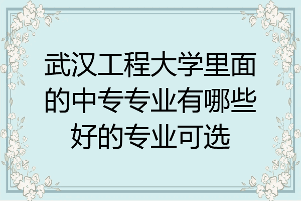 武汉工程大学里面的中专专业有哪些好的专业可选