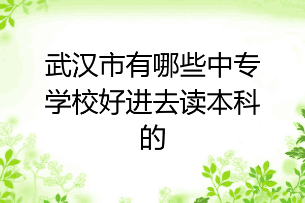武汉市有哪些中专学校好进去读本科的