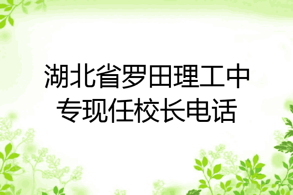 湖北省罗田理工中专现任校长电话