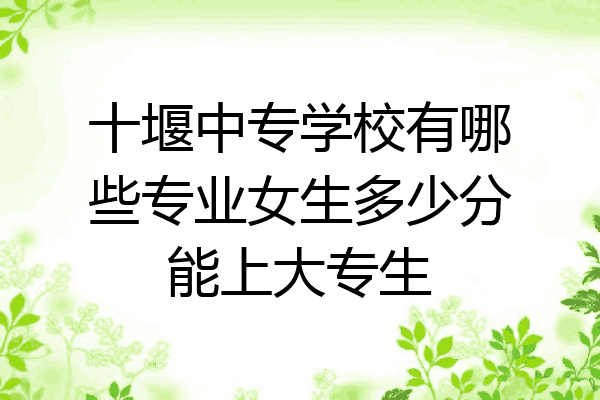 十堰中专学校有哪些专业女生多少分能上大专生