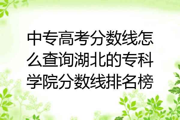 中专高考分数线怎么查询湖北的专科学院分数线排名榜