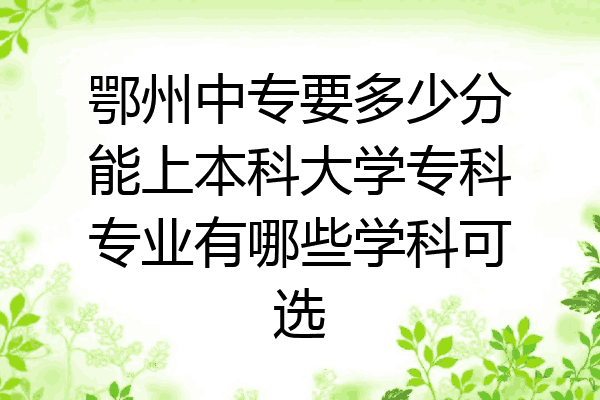 鄂州中专要多少分能上本科大学专科专业有哪些学科可选