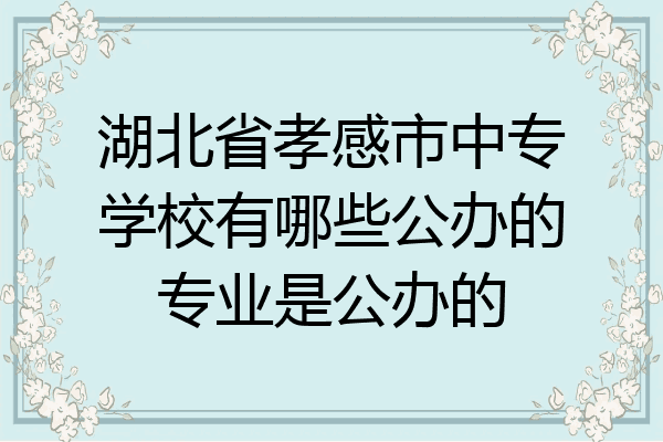 湖北省孝感市中专学校有哪些公办的专业是公办的