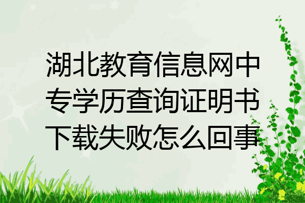 湖北教育信息网中专学历查询证明书下载失败怎么回事