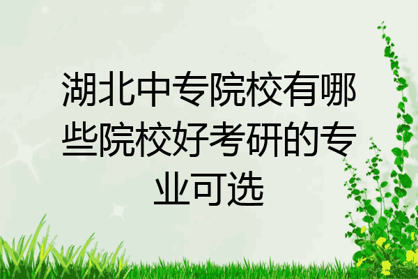 湖北中专院校有哪些院校好考研的专业可选