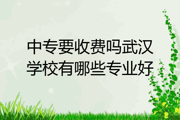 中专要收费吗武汉学校有哪些专业好