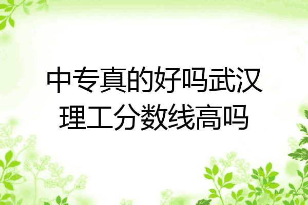 中专真的好吗武汉理工分数线高吗
