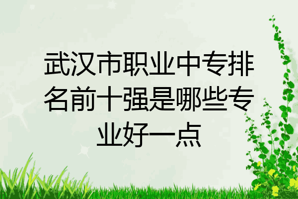 武汉市职业中专排名前十强是哪些专业好一点