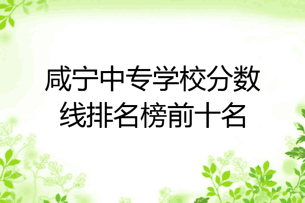 咸宁中专学校分数线排名榜前十名