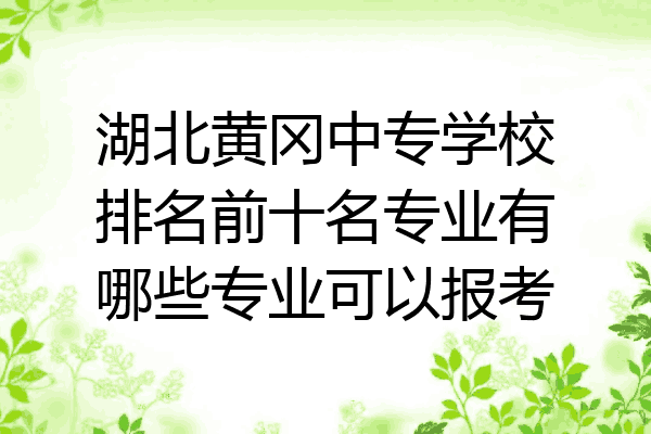 湖北黄冈中专学校排名前十名专业有哪些专业可以报考