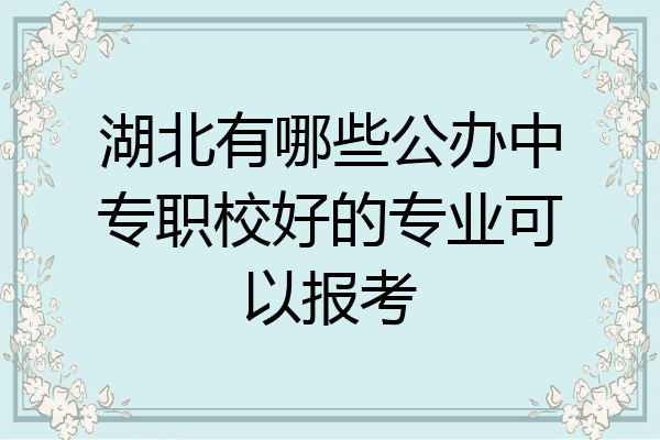 湖北有哪些公办中专职校好的专业可以报考
