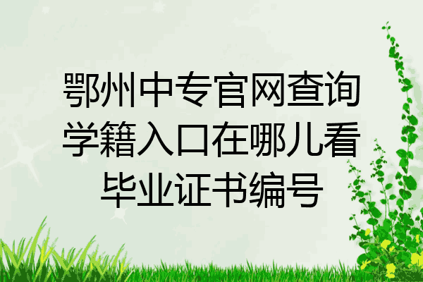 鄂州中专官网查询学籍入口在哪儿看毕业证书编号