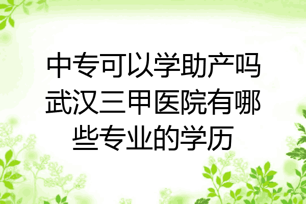 中专可以学助产吗武汉三甲医院有哪些专业的学历