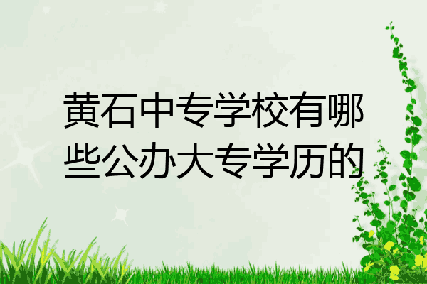黄石中专学校有哪些公办大专学历的