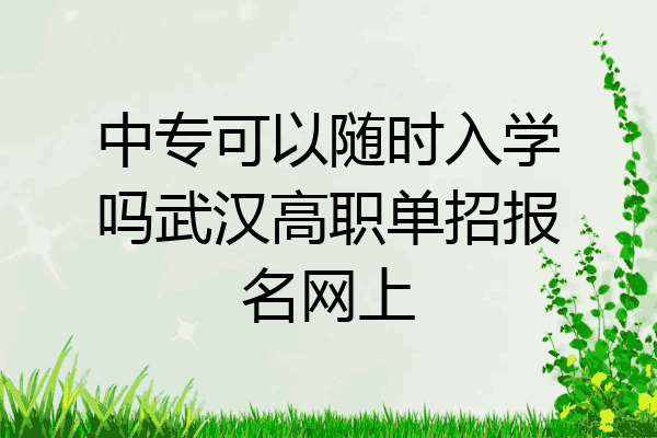 中专可以随时入学吗武汉高职单招报名网上