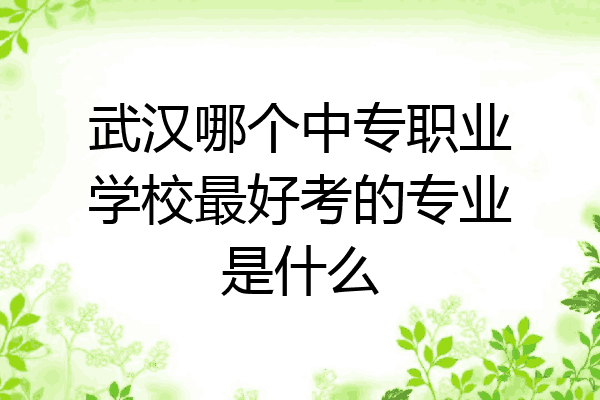 武汉哪个中专职业学校最好考的专业是什么