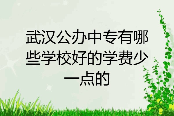 武汉公办中专有哪些学校好的学费少一点的